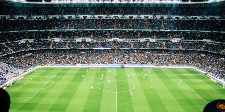 泰山队亚冠,报名至少,人未果,星空体育,星空体育app,星空体育官网,星空体育下载,星空体育入口