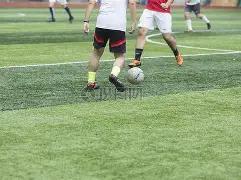 印尼足协主,席托希尔感,败中寻荣,星空体育,星空体育app,星空体育官网,星空体育下载,星空体育入口