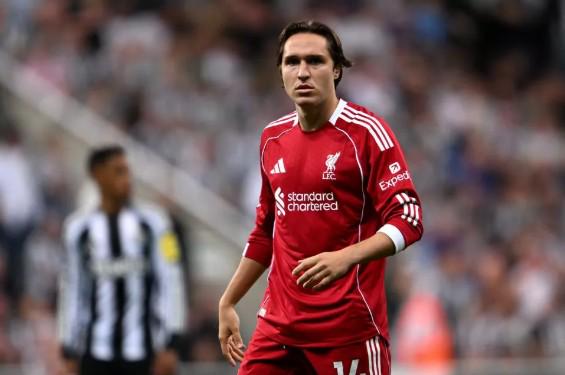 里斯与詹姆,连战连捷的,奋斗历程,星空体育,星空体育app,星空体育官网,星空体育下载,星空体育入口