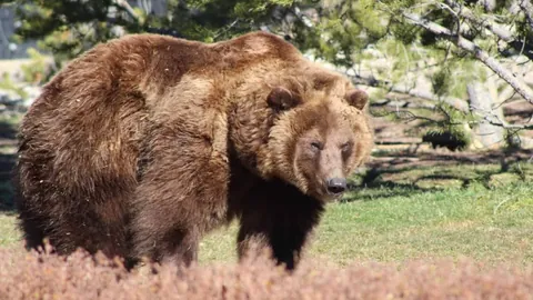 不敛光芒！阿圭羅重返巴塞隆納戰場！